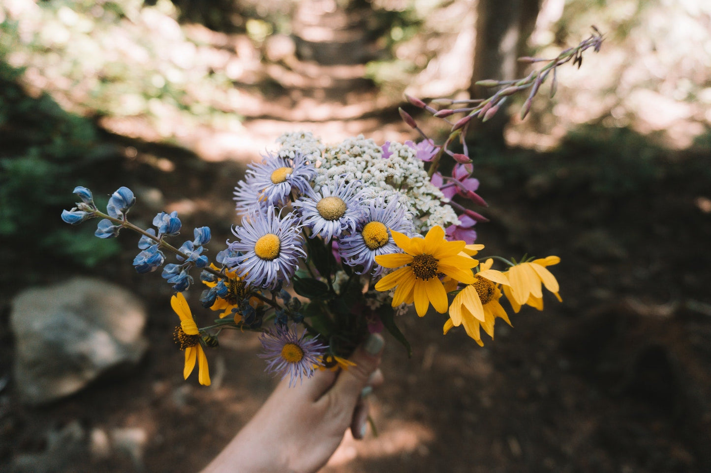 Why we should be like Wildflowers.