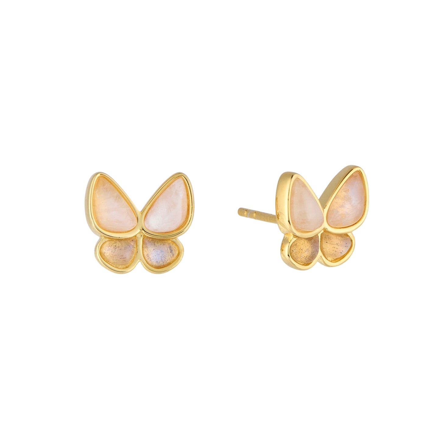 Butterfly-shaped earrings with gold frame on a white background